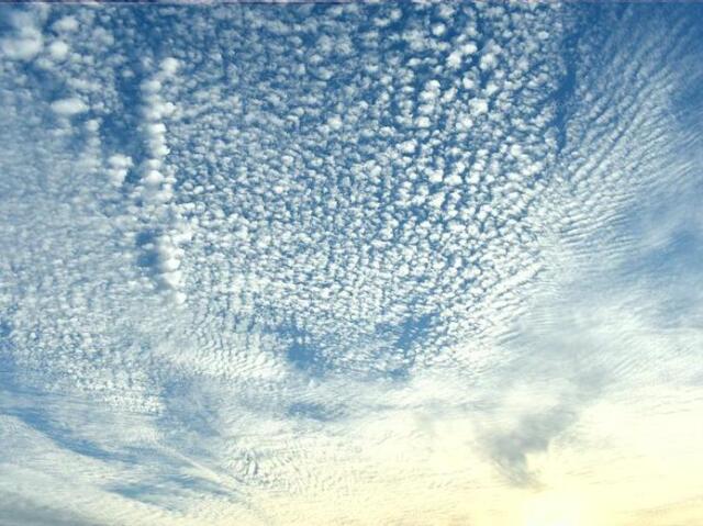 Cirrocumulus cloud