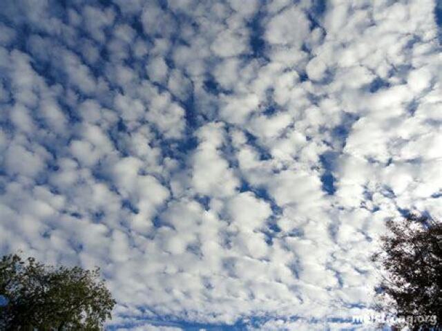 Altocumulus cloud