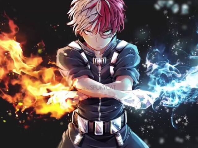 TODOROKI