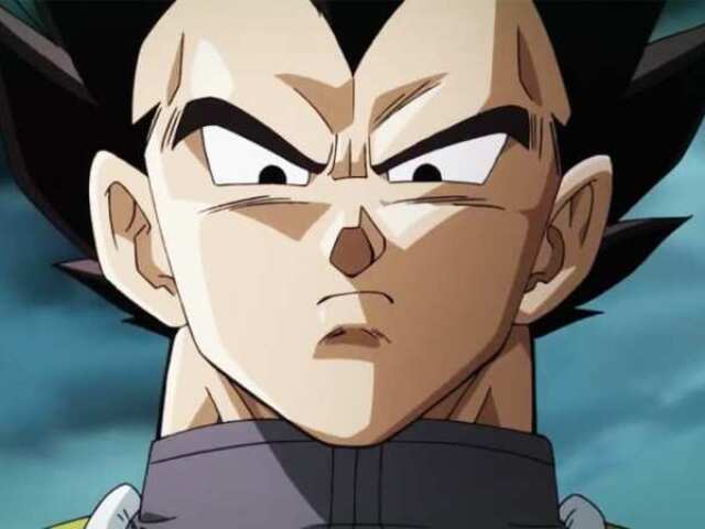 PRINCIPE VEGETA