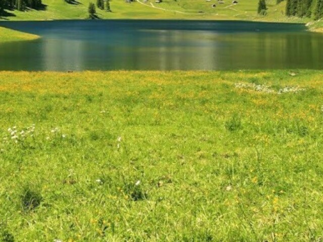 perto de um lago🏞️