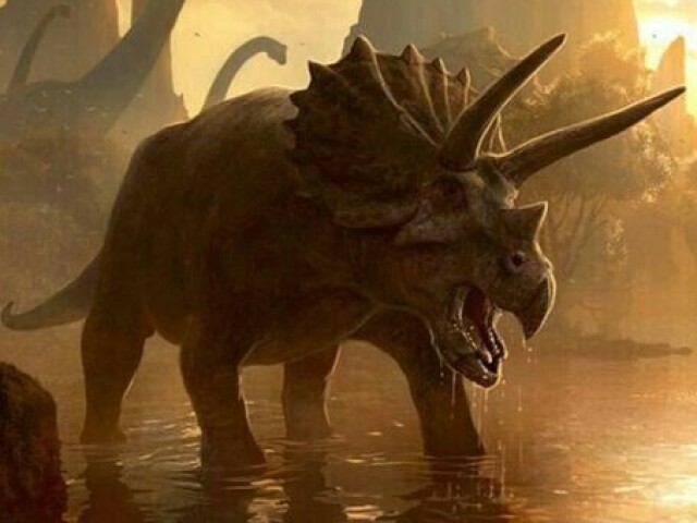 Triceratops