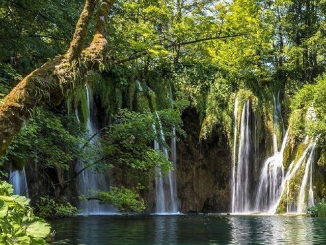 Pequenas cataratas naturais cheias de elementos naturais com um fresco ao redor.