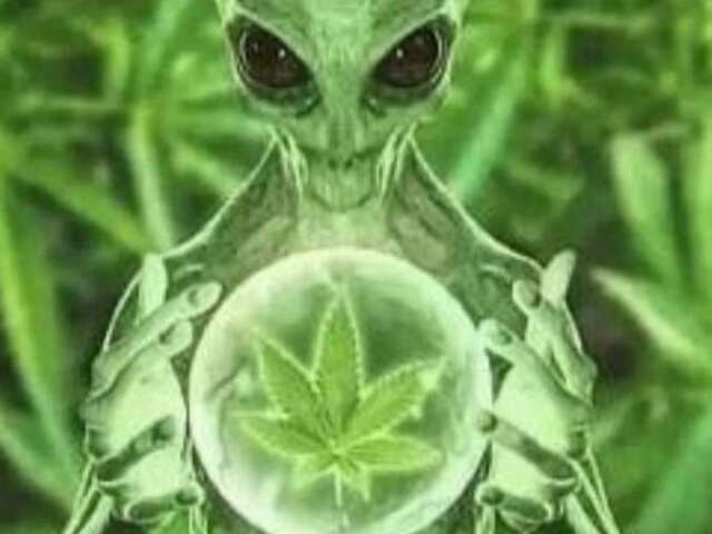 Alien maconheiro