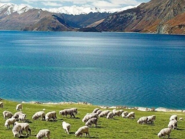 Nova Zelândia 🇳🇿