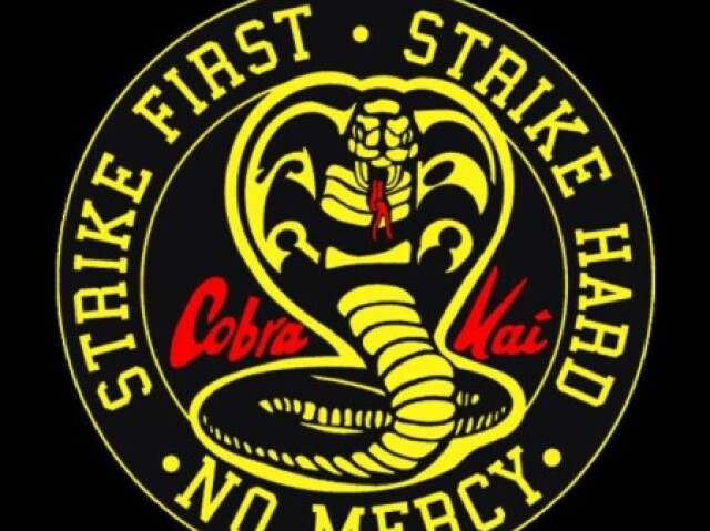 Cobra kai