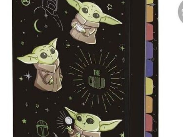 Fichário do baby yoda
(Eu acho que é esse o nome)