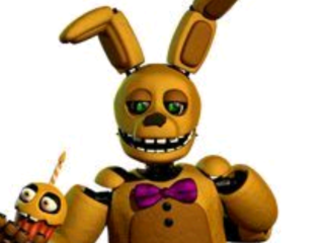 Springue Bonnie