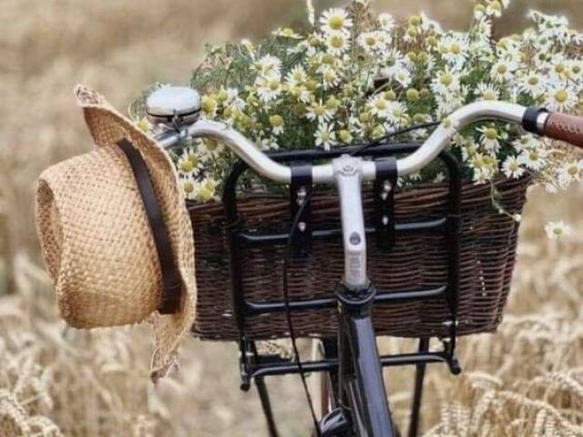 Passear de bicicleta e colher algumas flores