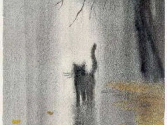 Investigar