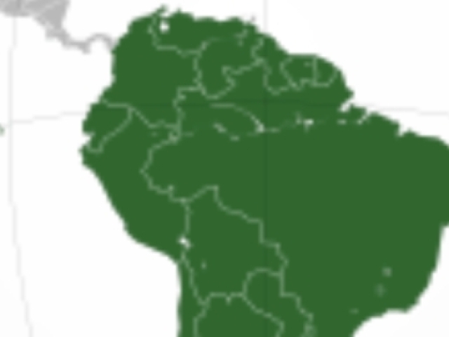 América do Sul