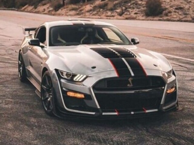 Mustang