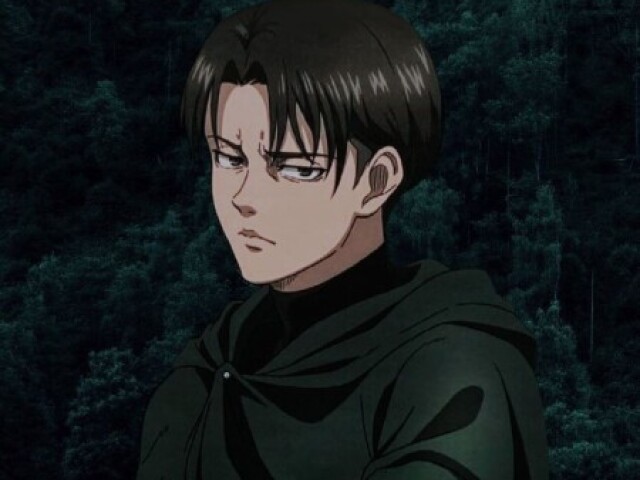 Levi