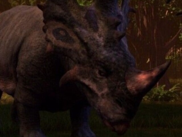 Sinoceratops