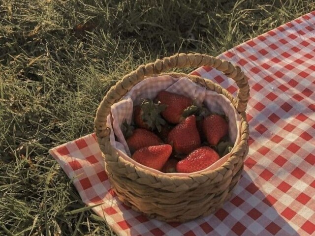 Picnic