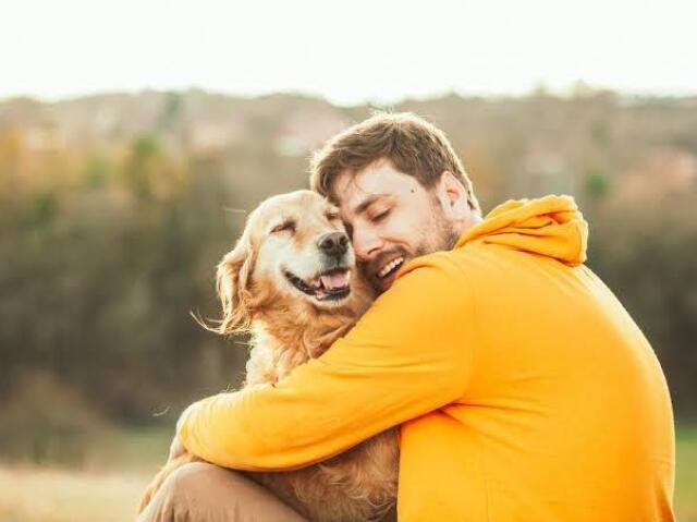 Imitando seus animais de estimação para te atrair e te devorar.