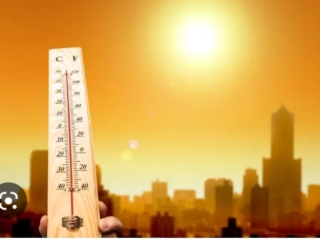 Calor