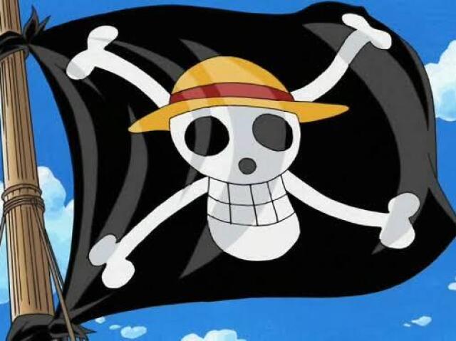 Ser o rei dos Piratas e encontrar o tesouro ''One Piece.''