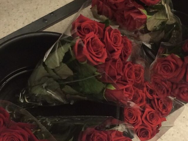 Rosas