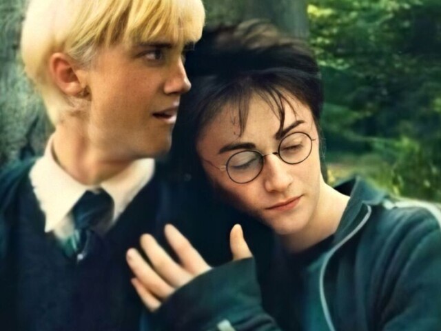 drarry shipps