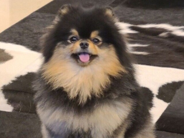 Yeontan