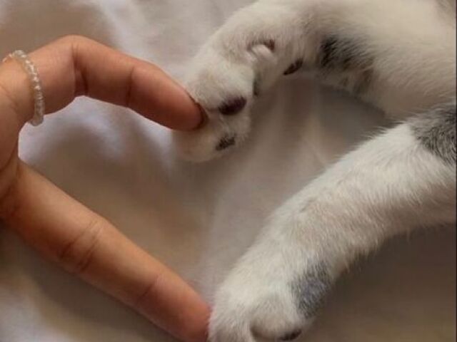 Nรฃo quero.