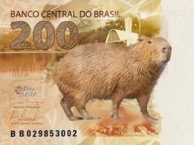 capivara