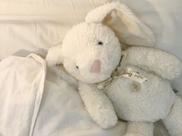 Urso de pelĂșcia