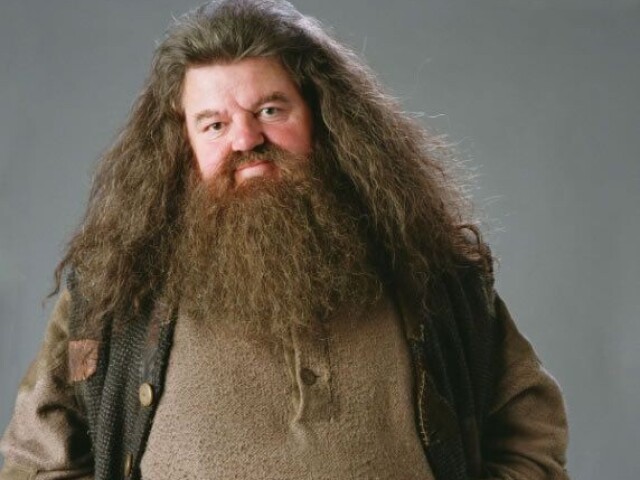 Hagrid