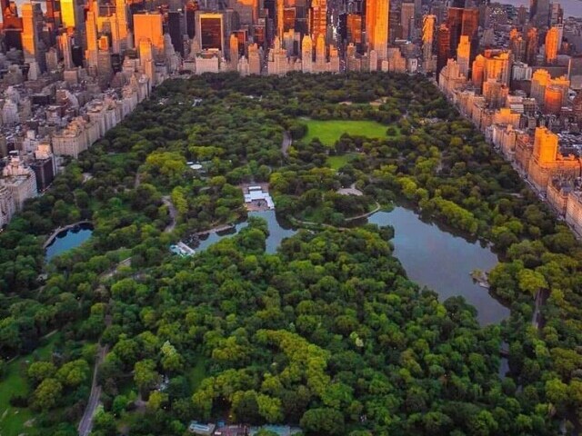 Conhecer o Central Park