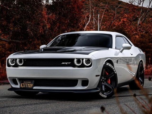 Dodge