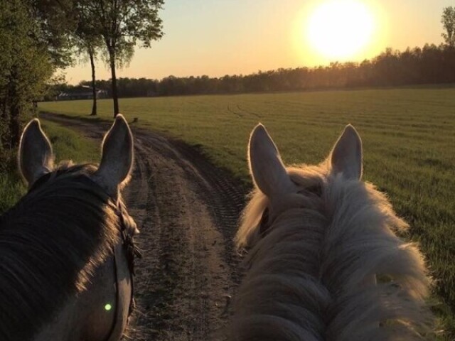 Cavalgada ao por do sol