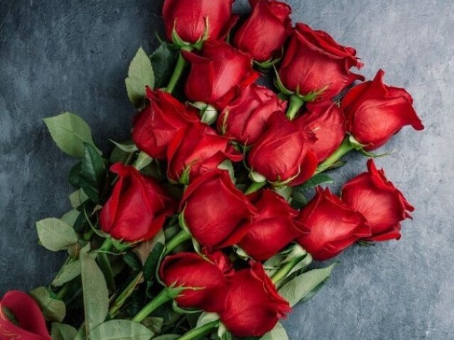rosa