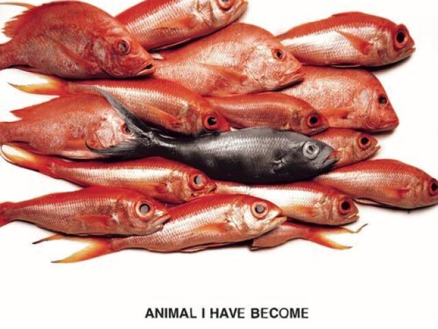 Animal i Have Become