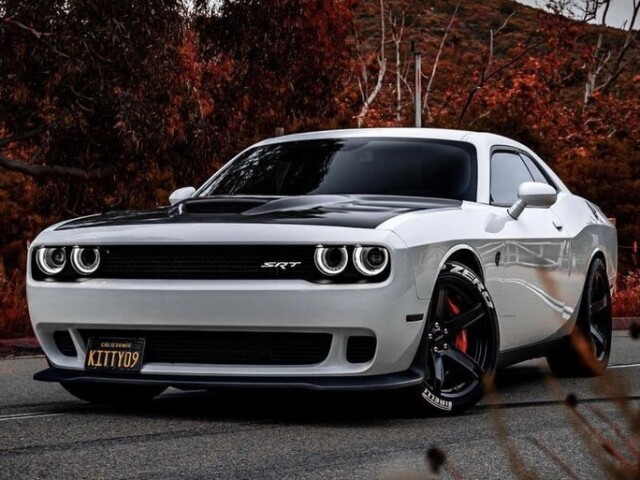 Dodge