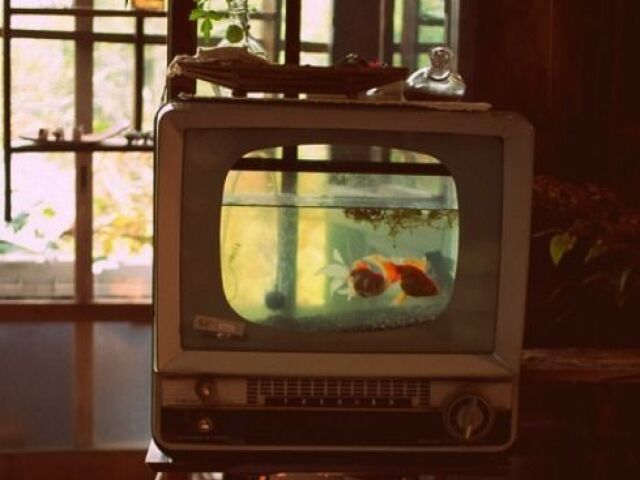 qnd eu coloco essa TV, eu digo TV's vintage no geral