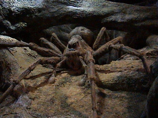 Aranhas