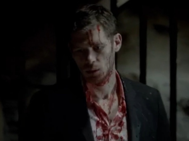 "Ela tem um traço do diabo nos olhos, e isso é meu. " ~ Klaus Mikaelson