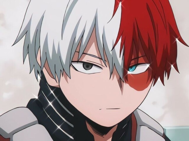 Todoroki Shoto