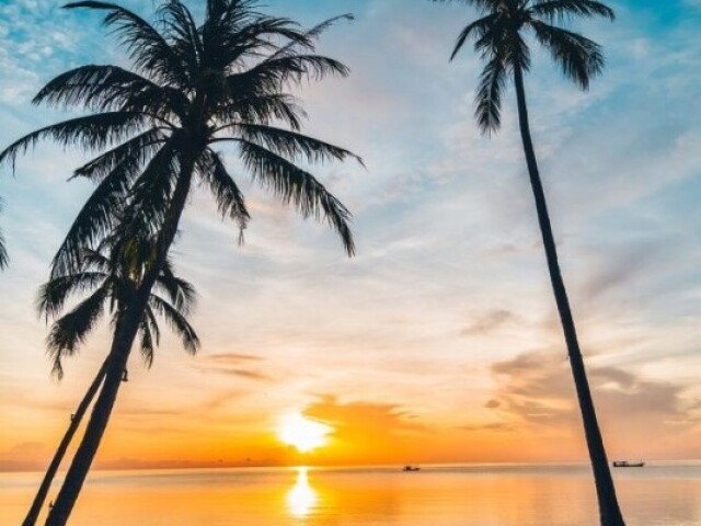 Verão