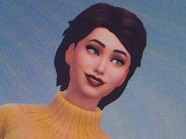 The sims