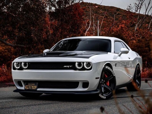 Dodge