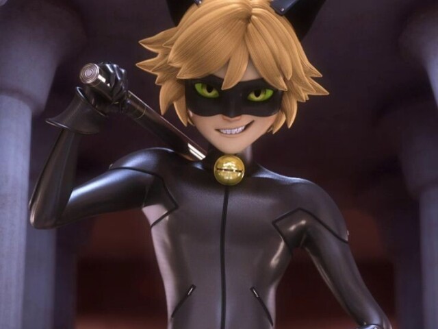 Cat noir