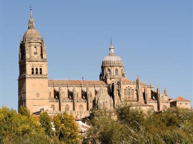 Catedral Nova De Salamanca