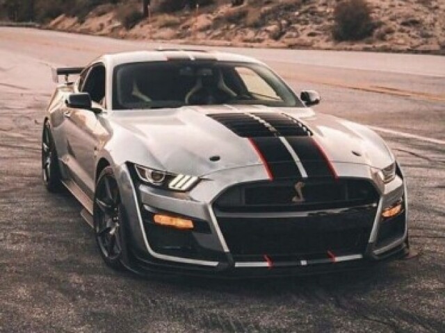 Mustang