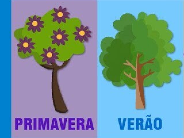 Primavera / Verão