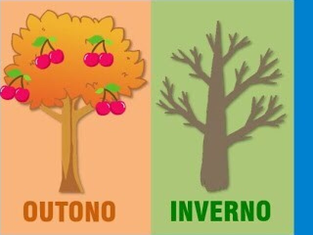 Outono / Inverno