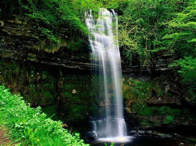 cachoeira na floresta