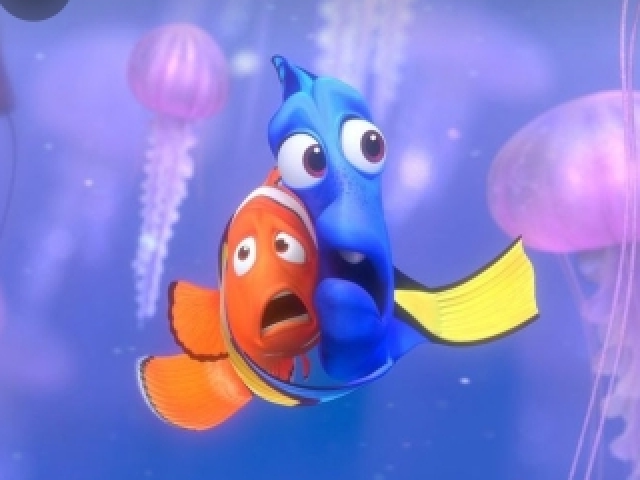 Há Procura de Dory