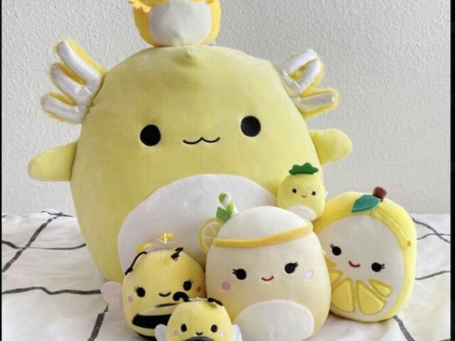 Squishmallows ( á escolha)